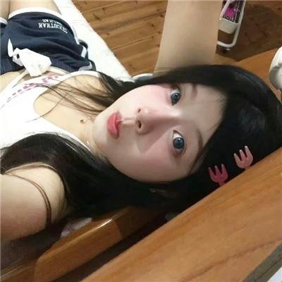 双探